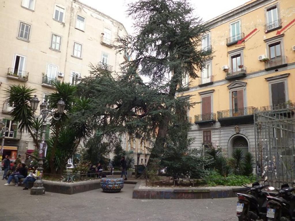 Apartment 25 Napoli Eksteriør billede